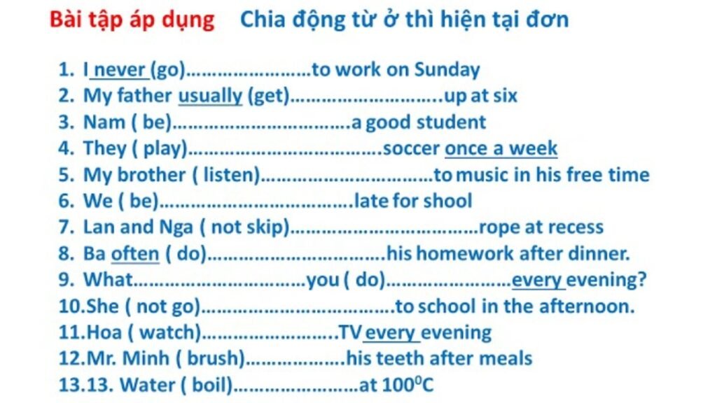 Bài Tập Thì Hiện Tại Đơn Tiếng Anh Lớp 6