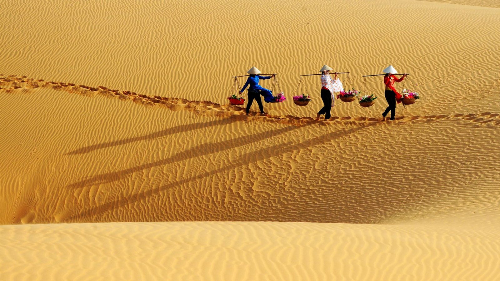 Đồi Cát Bay Mũi Né